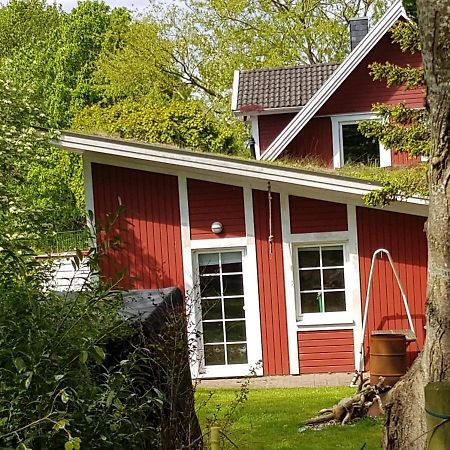 An Der Schafsweide Apartman Aukrug Kültér fotó
